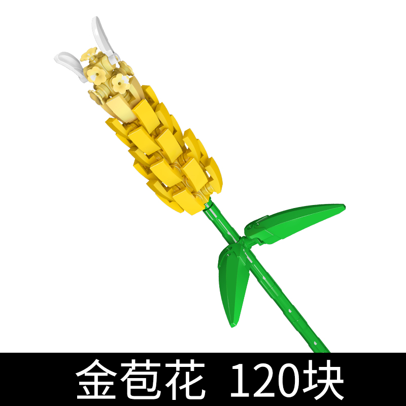 SKU_06_金苞花
