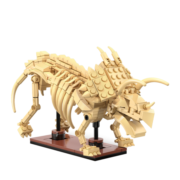 CaDA Dinosaurus fossielen Triceratops C59013W23