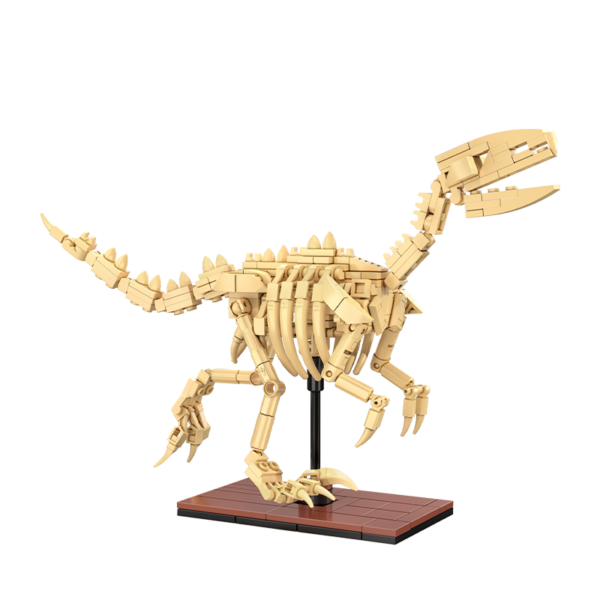 CaDA Dinosaurus fossielen Velociraptor C59014W